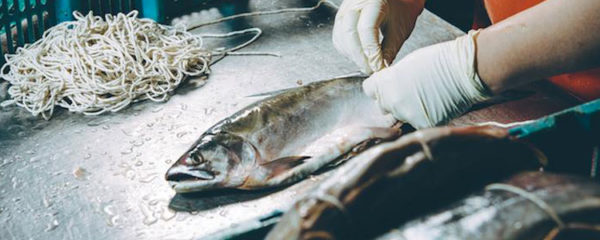 poisson frais