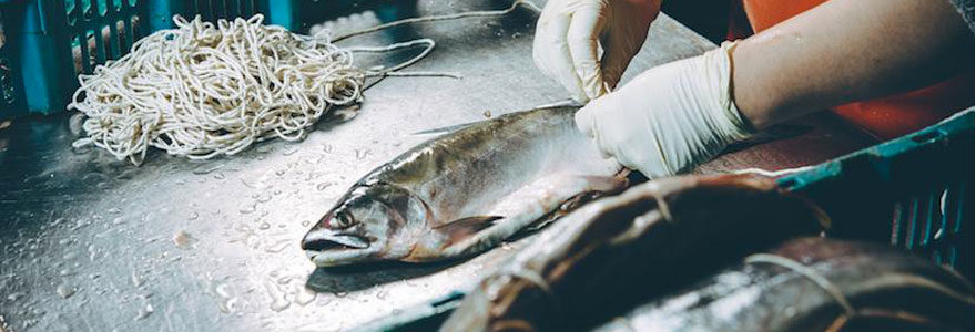 poisson frais