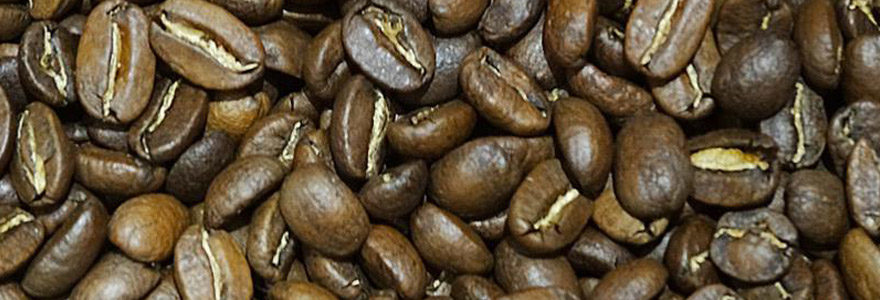 café en grain de Papouasie-Nouvelle-Guinée